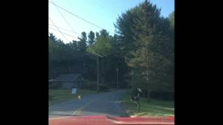 Gypsy moths ravage New England!