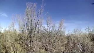 Test Flight: SkyViper Sonix board and camera on  gimbal