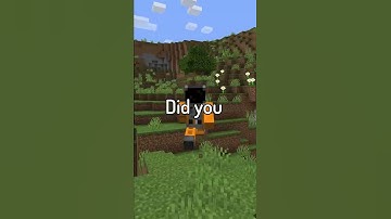 Notch nearly added the Aether to Minecraft...