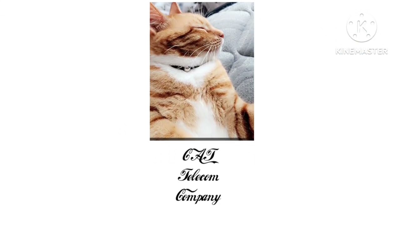 cat telecom company logo