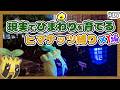 【ポケモンXY】ヒマナッツがひんしになったら『現実で向日葵を育てる縛り』#17