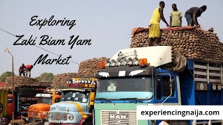 Exploring Zaki Biam: The Largest Yam Market in West Africa