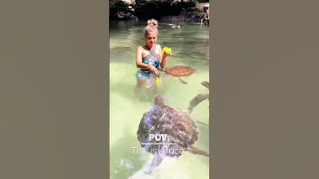 This Was Before I Got Bitten Zanzibar Island Tanzania Giveityourbestshort Africa 