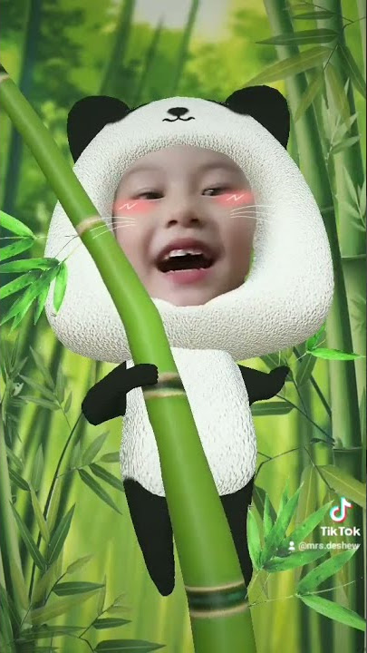 Dilemesin aja goyangnya..goyang panda #queserasera