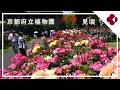 京都府立植物園でバラ見頃