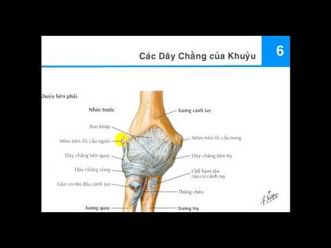 Video Giải phẫu khớp khuỷu - Học giải phẫu nhanh chóng hiệu... - youtube