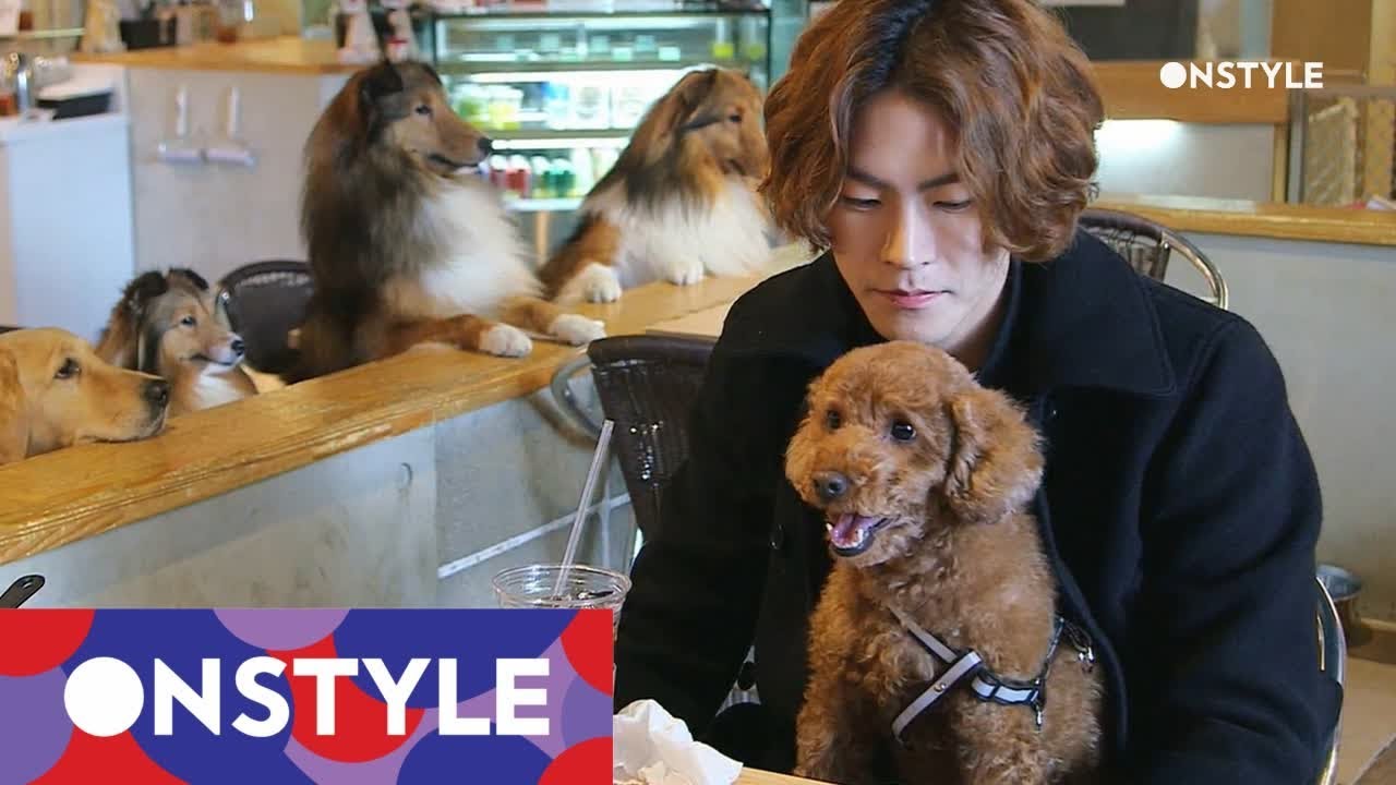 petorialist 애견카페에 간 홍종현과 헤롱이 131207 EP.1