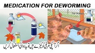 how to treat worms in with in chicken