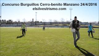 Concurso Burguillos del cerro - Benito Manzano