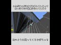 カボチャの雨(真) #shorts