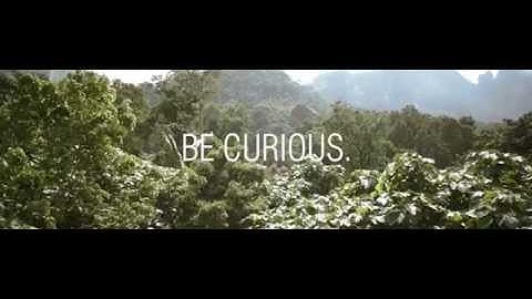 Frankfurt Airport Digital Signage / DOOH (Digital Landmark)