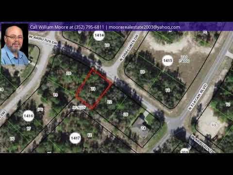 2486 W Arbutus Drive, Citrus Springs, FL home video tour