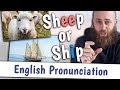 SHEEP or SHIP? | English Pronunciation of /iː/ and /ɪ/