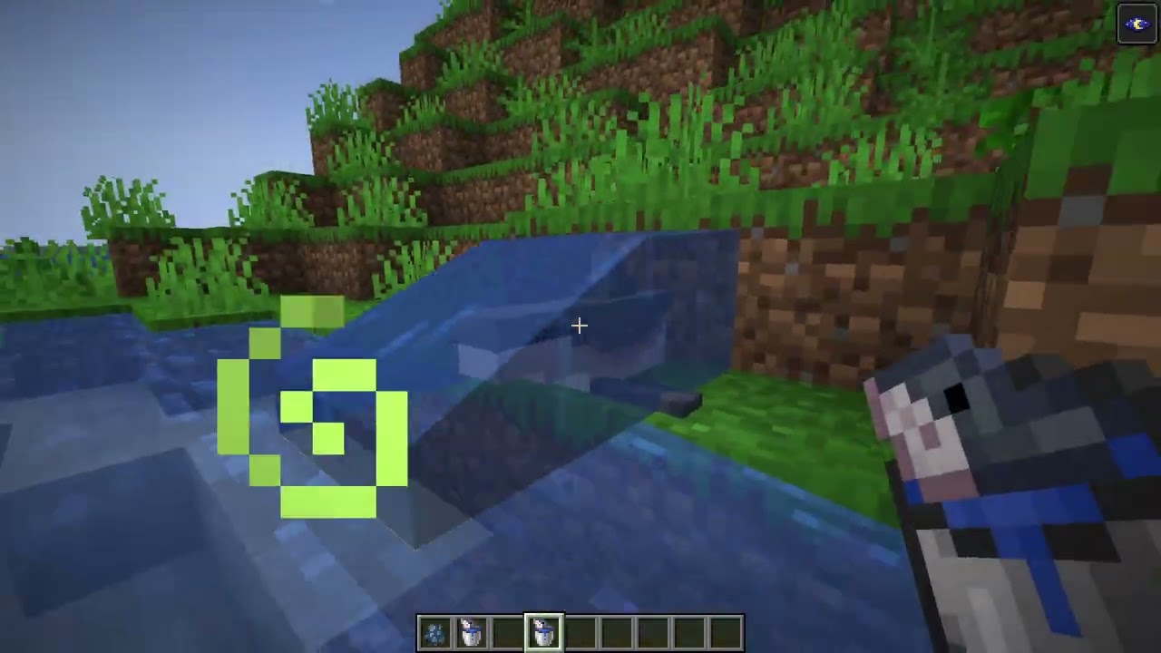 Fun with Sharks :) [Work in progress]