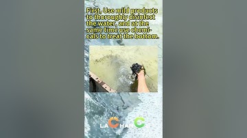 How to control shrimp white feces|| shrimp feed additive of bile acids