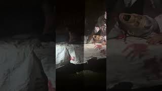 Trail of Terror #holloween #scary #fypシ #trending #viral #yourubeshorts #shorts