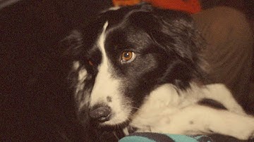 Reverend Genes - I Know You Know (Official Music Video)