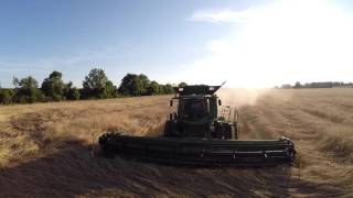 Rye Harvest