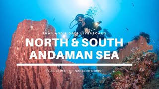 Diving the Andaman Sea of Thailand November 2022 by Jukka