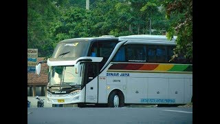 Sinar Jaya Premium Cl Jetbus3Shd