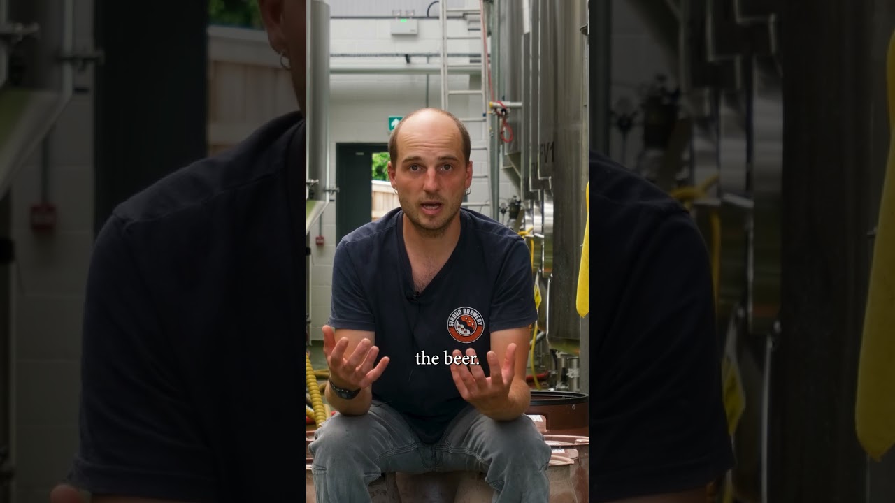 What Actually Is a Porter Beer? 🍫☕