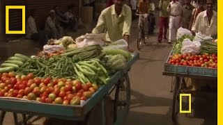 Diwali - Festival of Lights | National Geographic Resimi