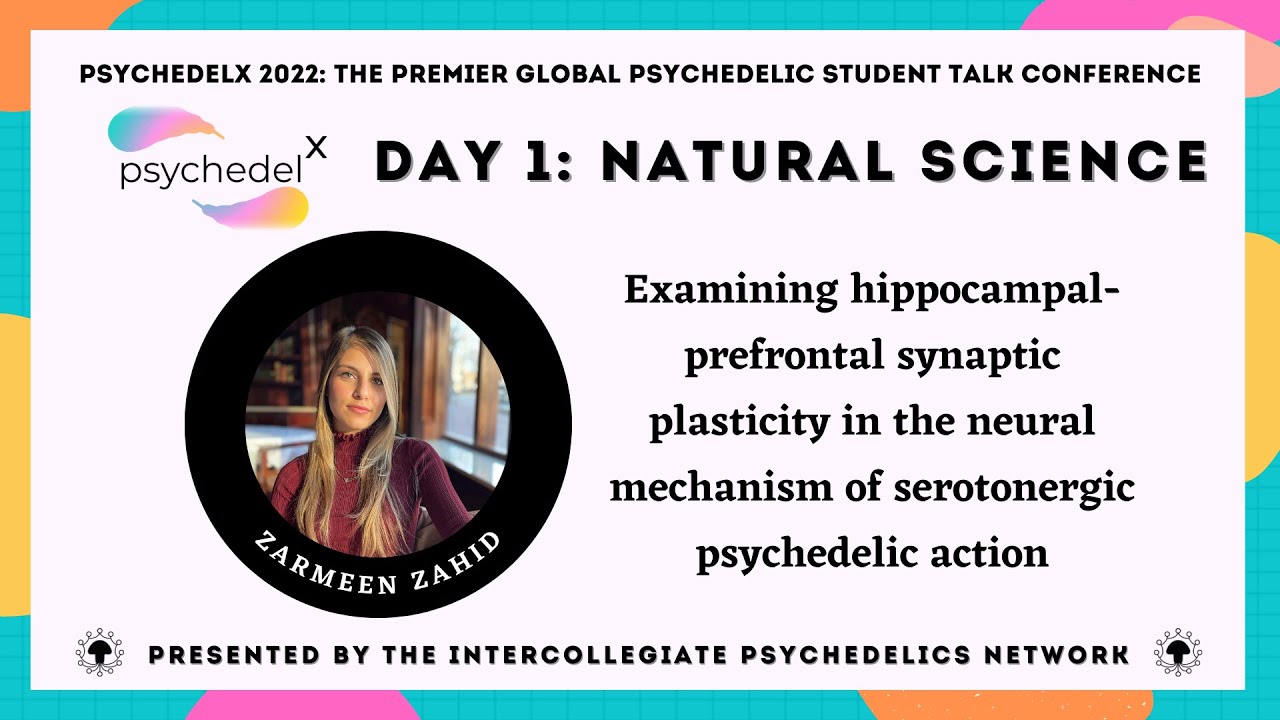 Zarmeen Zahid - Hippocampal-prefrontal plasticity in mechanisms of serotonergic psychedelic action