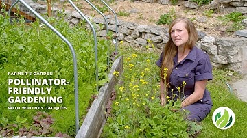 Attracting Pollinators to Your Garden | Farmer