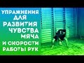 Баскетбол. Упражнения для развития чувства мяча и скорости работы рук. Тренировка дриблинга.