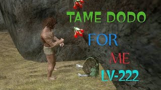 I TAME LV-222 DODO FOR ME IN MY HARDCODE ARK SURVIVAL SERIES #ep 3