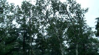 DSCF3087