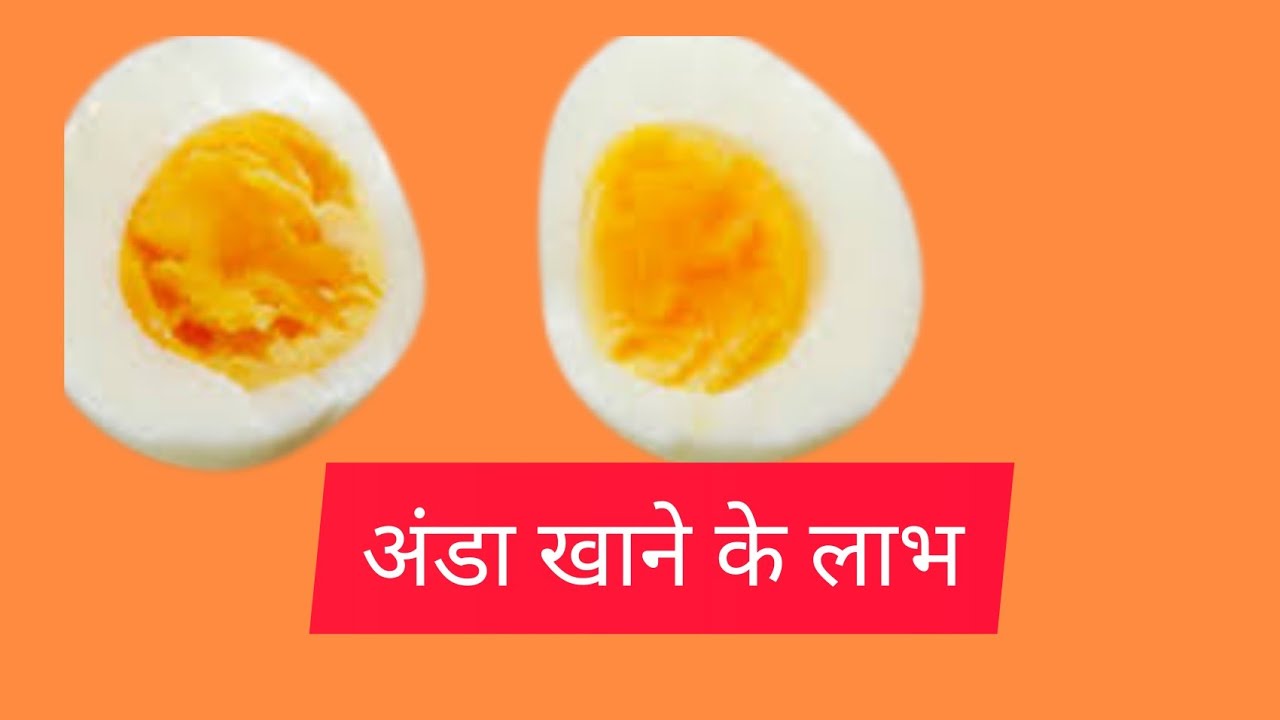 Health Benefits of Eggs in Hindi // अंडा खाने के लाभ YouTube