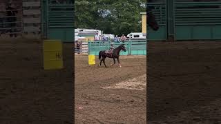 This Amazing Horse Knew Who Was Riding Him, And Was So Gentle