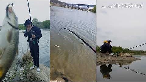 Câu cá ở Hàn Quốc cực chất