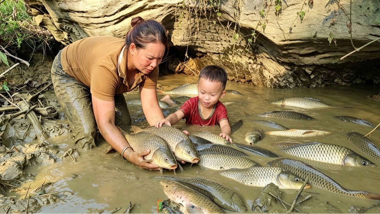 Single mother: Catching giant fish to sell at the market - Cooking with ...