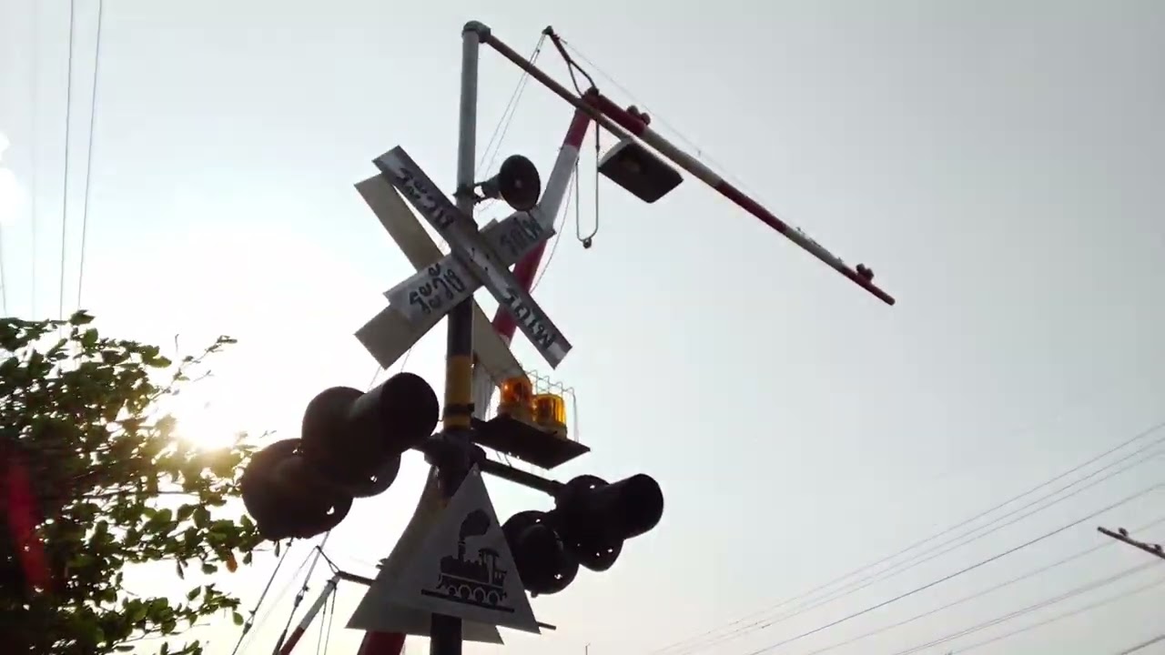 รวมคลิปรถไฟอู่ทอง ข.258/259/910/946 ในวันวาเลนไทน์ ปีนี้