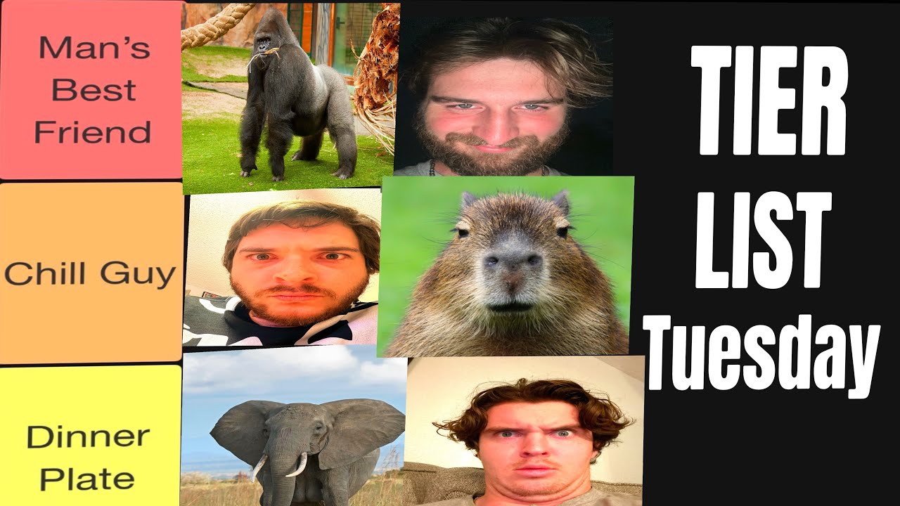 TIER LIST TUESDAY / ZOO ANIMALS