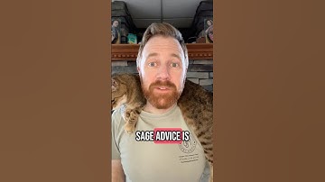 #dnd sage advice is back!