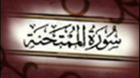 سورة الممتحنة :: خالد القحطاني :: Khaled Al Qahtani