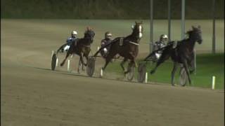 Vidéo de la course PMU PRIX ROB RENIRIE (BOKO CHAMPIONS CHALLENGE)