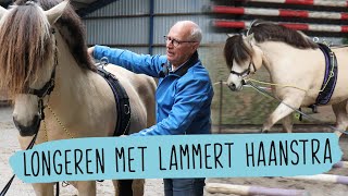 Goederen Resultaat Aas Clinic LONGEREN bij LAMMERT HAANSTRA | #61 | HorseFitShop - YouTube