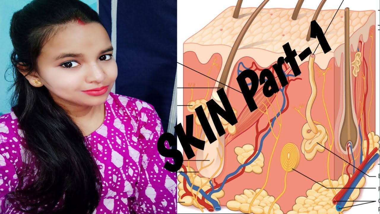 Mastering the art of skin careskin care -র সঠিক পদ্ধতি আয়ত্ব করবেন কিভাবে??part - 1 - YouTube