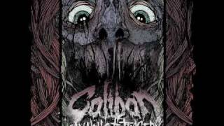 Caliban- End this sickness