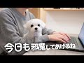 仕事にならない理由がこちらです。