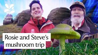 Meet the Waxcap Wizard and find out why mushrooms matter more than you think