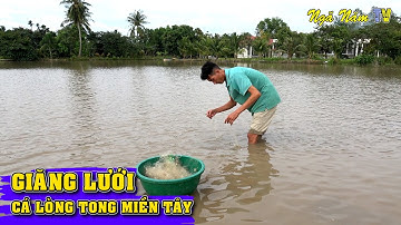 Giăng Lưới Bắt Cá Lòng Tong Phơi Khô Ăn Tết/Fishing/NGÃ NĂM TV