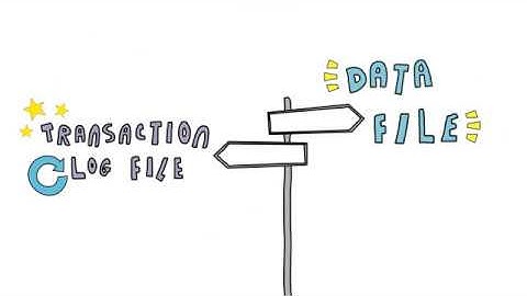 Database and Transaction Log Files