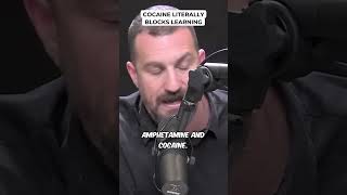 Huberman: Cocaine Literally Blocks Learning
