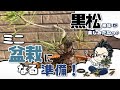 【黒松】 ミニ盆栽への道 足元だけ使っていきます。black pine,road to mini