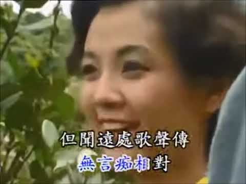 蔡幸娟 - 西湖春（KTV）